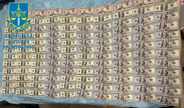 На Волині судять банду: лікар зі спільниками переправляли ухилянтів за кордон (фото)