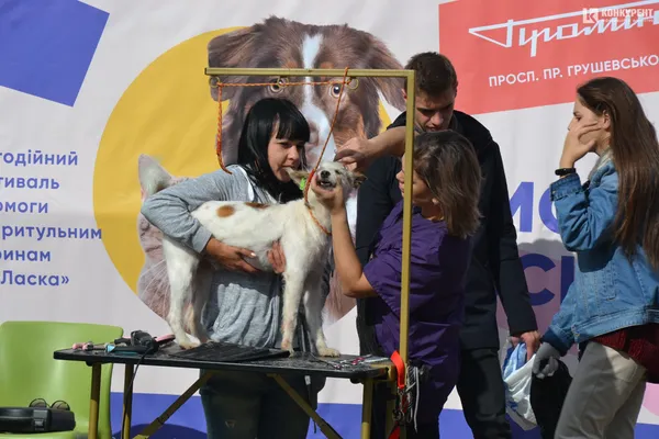«Мокрі носики»: у Луцьку котики й собаки шукають господарів (ФОТО)