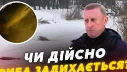 Чи можливий мор риби у луцькому парку: що виявив рибоохоронний патруль (відео)