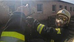 Як вогнеборці долали пожежу на фермі під Луцьком (відео)