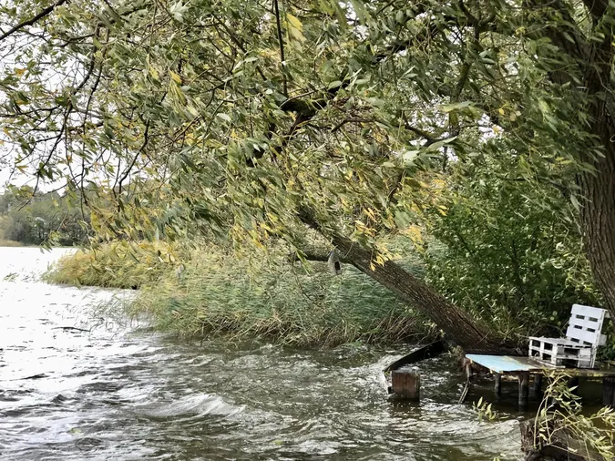 🌊Осінь на повну: в мережі показали краєвиди волинського озера (фото)