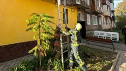 У Нововолинську рятувальники увійшли до квартири і переклали жінку на диван (фото)