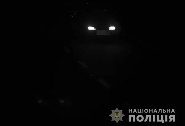 Як у блокбастері: на Волині шукали автівку, яку вкрали при купівлі (фото, відео)