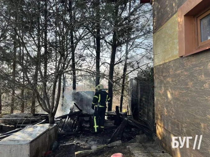 У Володимирі невідомі підпалили сосни біля житлового будинку (фото)