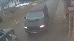 Чоловіка забрали, а собака лишився на дорозі: у Волинському ТЦК розповіли, що відбулося (відео)