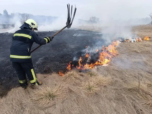 Підпали чи кинуті абиде недопалки: на Волині за добу вигоріли гектари сухостою (фото)
