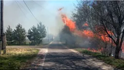 Вогонь підходив до будинків і доріг: на Волині за два дні вигоріло понад 30 га трави і чагарників (фото)