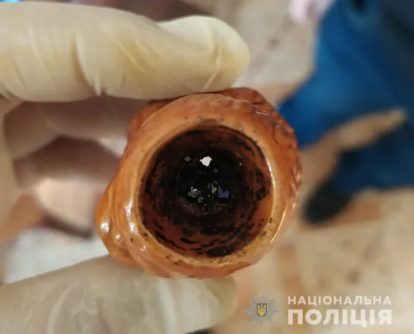 У Ковельському районі під час обшуків знайшли наркотики та пістолети (фото)