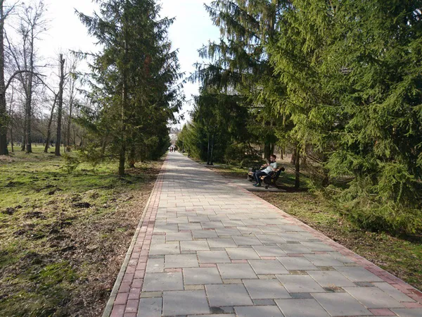 Попри недоліки, центральний парк ідеальне місце, аби у центрі міста побути на самоті