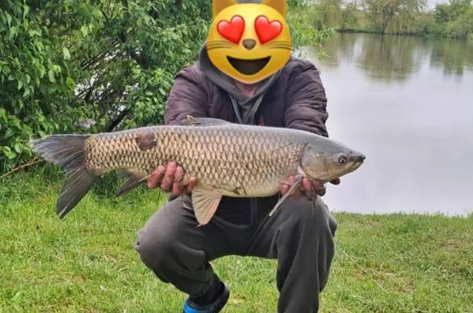 На Рівненщині чоловік спіймав велетенського амура (фото)