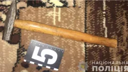 У Луцьку затримали розбійників, які з молотком вдерлися в квартиру (фото)