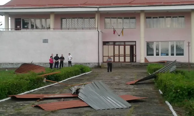 Власникам закладів на Світязі, де вирував буревій, порадили знести аварійні дерева (фото)
