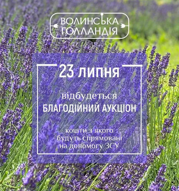 Шеврон, картини, міст: у «Волинській Голландії» відбудеться аукціон для допомоги ЗСУ (фото)