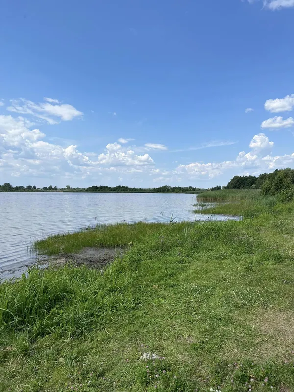 Невелике озеро з чистою водою: де на Волині можна покупатись серед лісу