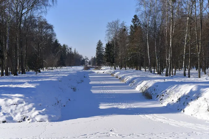 Як зустрічають сніг мешканці Луцького зоопарку (фото)