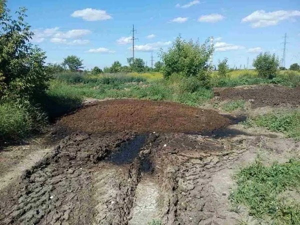 Сморід на Львівській: знайшли ще одну причину (фото) 