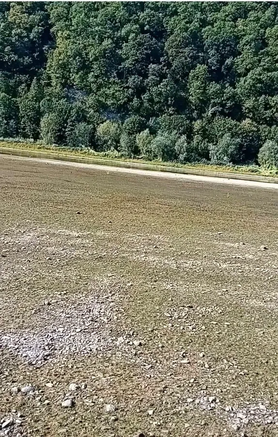 Дністер залишився майже без води: одна з найбільших річок України стрімко міліє (фото)