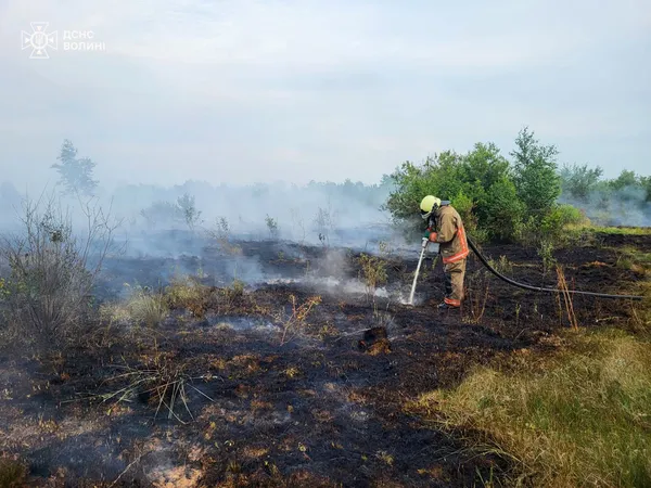 На Волині палають торфовища та суха трава: де зафіксували осередки займань