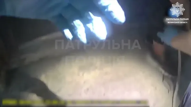 Сильна кровотеча та перелом ноги: у Луцьку вівчарка покусала мати з донькою (відео)