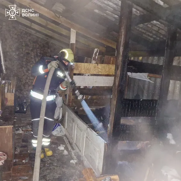 Пожежі одна за одною: за минулу добу волинські рятувальники ліквідували 5 загорянь (фото)