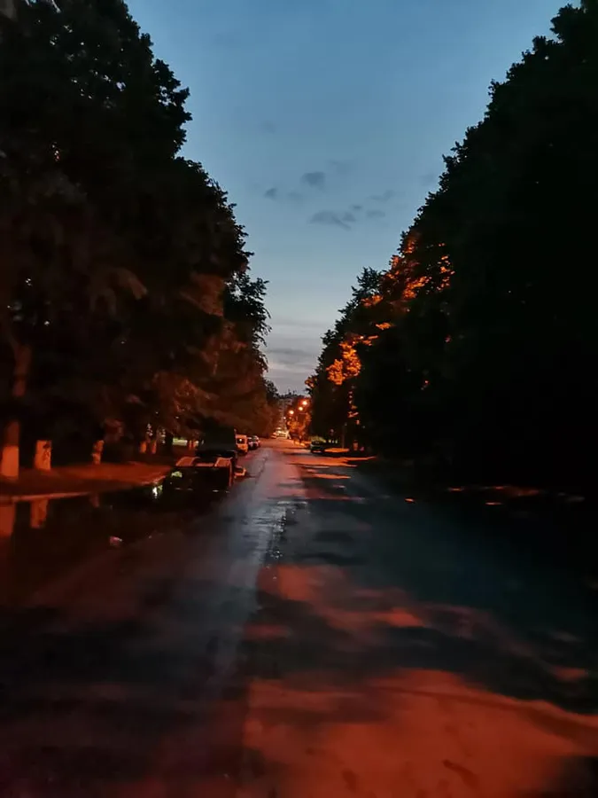 Хащі і вимкнені ліхтарі: лучани скаржаться на темряву на Даньшина (фото)