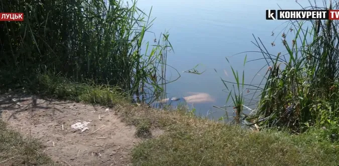 У Луцьку в Теремнівському ставку знайшли тіло чоловіка (відео)