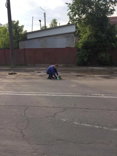 У Луцьку на двох вулицях у вибоїнах посадили квіти (фото, оновлено)