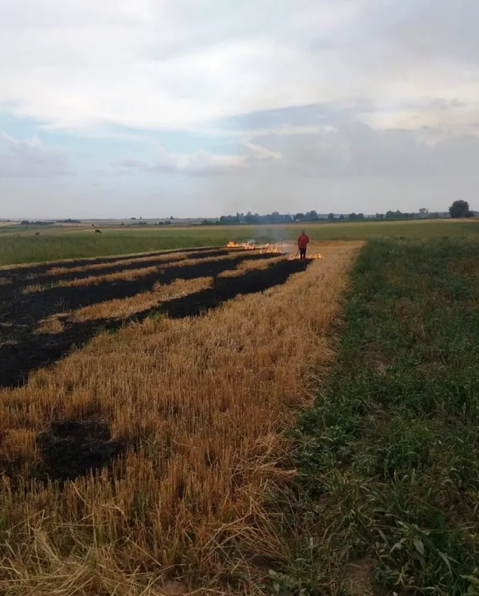 На Волині трьох селян покарали за спалювання стерні (фото)