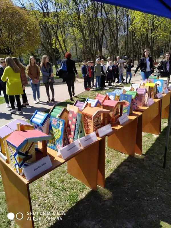 Кожній пташині по арт- хатині: у Луцьку розвісили нові шпаківні (фото)