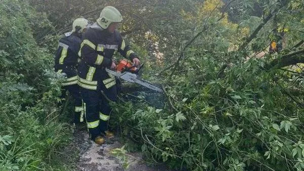 Рятувальники ліквідовували наслідки негоди у кількох районах області (фото)