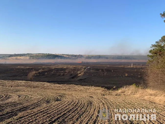 Підпалив очерет: з вини волинянина вигоріло понад 100 гектарів землі (фото, відео)