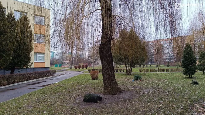 «Лінивий» Луцьк у перший день 2024 року (фото)
