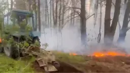 Унікальні скарби природи – під загрозою: у лісі на Волині спалахнув вогонь (відео)