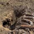 У Луцькому районі лунатимуть вибухи: туди виїхали сапери