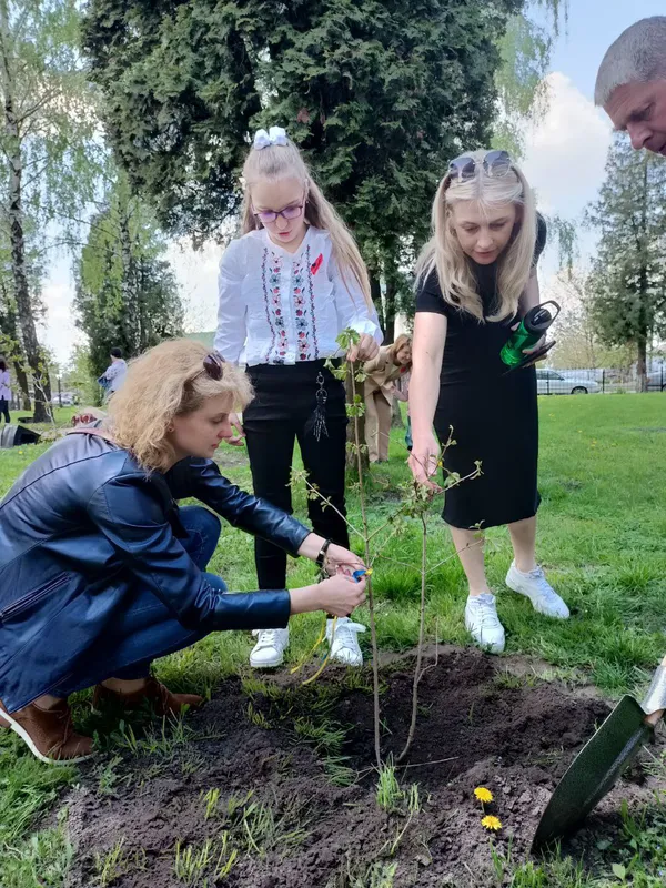 В пам'ять про Героїв-односельців у Підгайцівській громаді висадили кущі калини