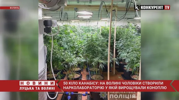 50 кіло канабісу: у Луцькому районі вилучили наркотиків на пів мільйона гривень (фото, відео)