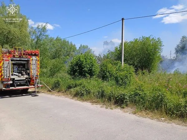 Підпал, дитячі пустощі, необережність: на Волині загасили сім пожеж (фото)