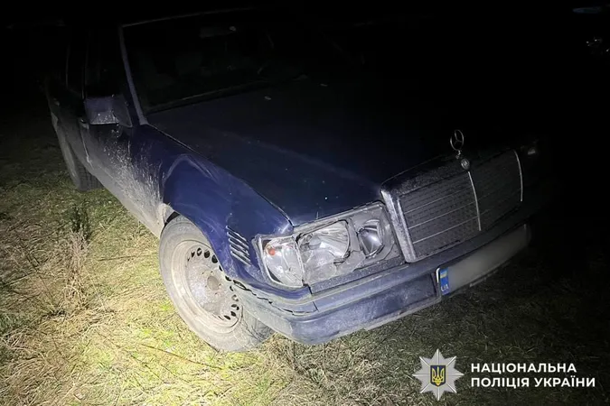 ⚡️Знайшли водійку, яка збила оленя Бориса та втекла з місця аварії
