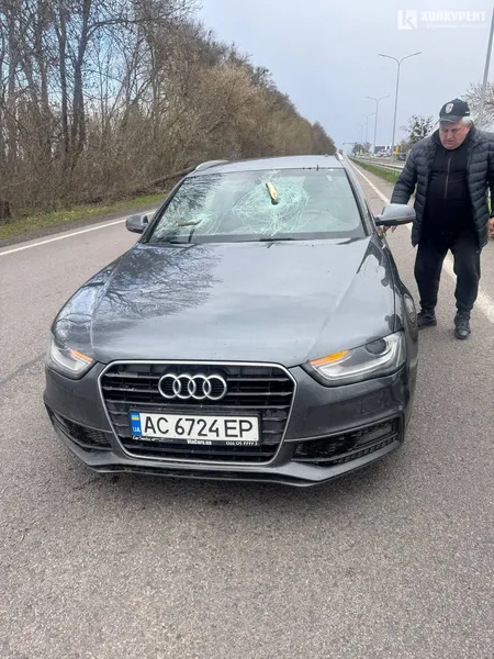 На авто лучанки на швидкості впало дерево і проштрикнуло «лобовуху»: моторошні деталі (фото, відео)
