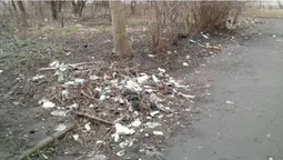 У Луцьку голів ОСББ закликають прибрати прибудинкові території (фото)
