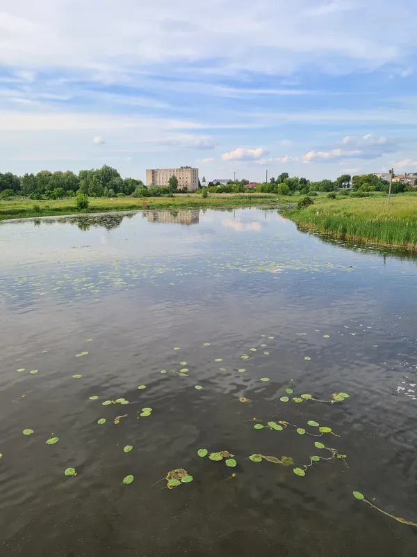 Неймовірна краса волинської річки (фото)