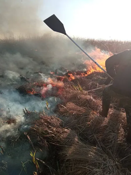 Вогняні стовпи на 12 метрів: на Волині палає Прип'ять (фото)