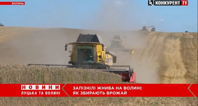 На Волині – розпал запізнілих жнив: чи буде цьогоріч врожай (відео)