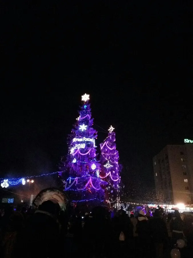 #Cім_сорок. Луцькі ялинки – на колір і смак товариш не всяк