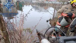 З городів і дворів: на Волині рятувальники відкачували воду (фото)