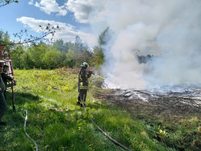 На Волині горіли господарська споруда, суха трава й чагарники (фото)