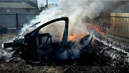 Tesla згоріла вщент: вітер розніс вогонь зі сухостою на авто (фото)