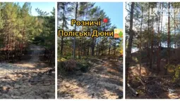 Волинські дюни: що це і де вони є (відео)