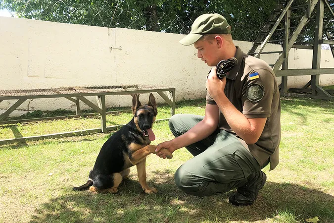 Як волинські гвардійці з грайливих щенят виховують службових псів (фото)