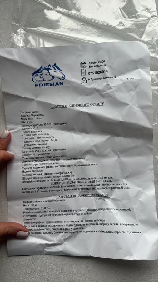 Привезла живу кішку, а забрала додому труп: лучанка підозрює ветклініку в смерті тварини (фото)